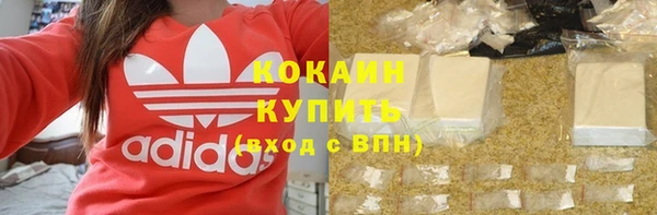 прущая мука Няндома