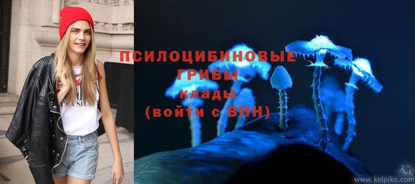 ГАЛЛЮЦИНОГЕННЫЕ ГРИБЫ Новокубанск