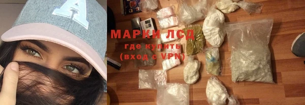 прущие грибы Нягань