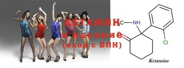 прущие грибы Нягань
