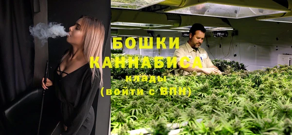 прущие грибы Нягань