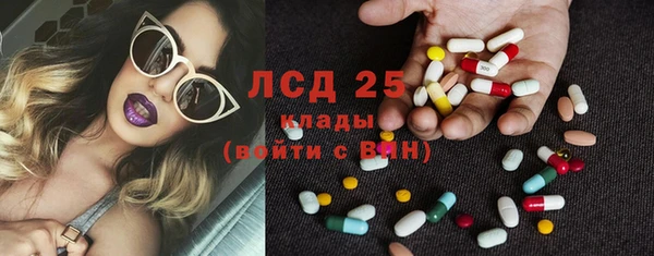 прущие грибы Нягань