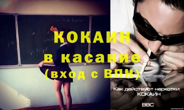 трава Новозыбков