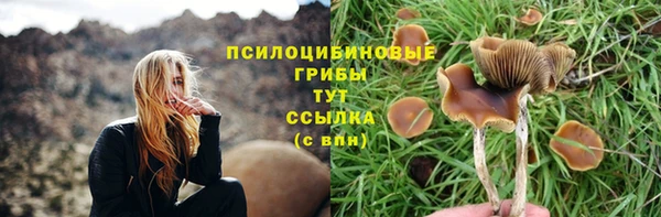 кокаин колумбия Нязепетровск