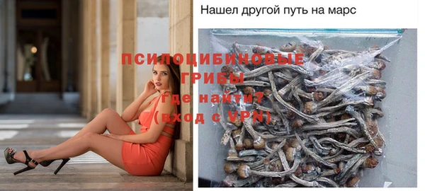 соль курить ск Осинники