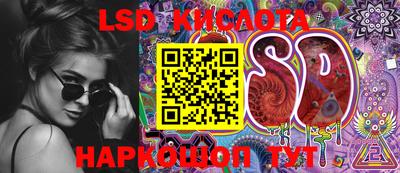 PSILOCYBIN Кинель