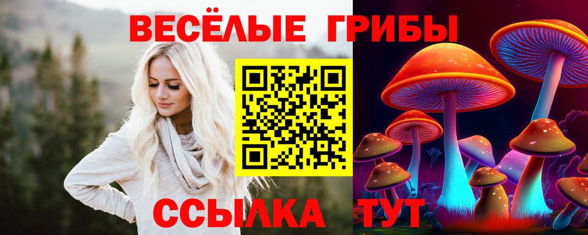 Псилоцибиновые грибы Psilocybine cubensis Надым