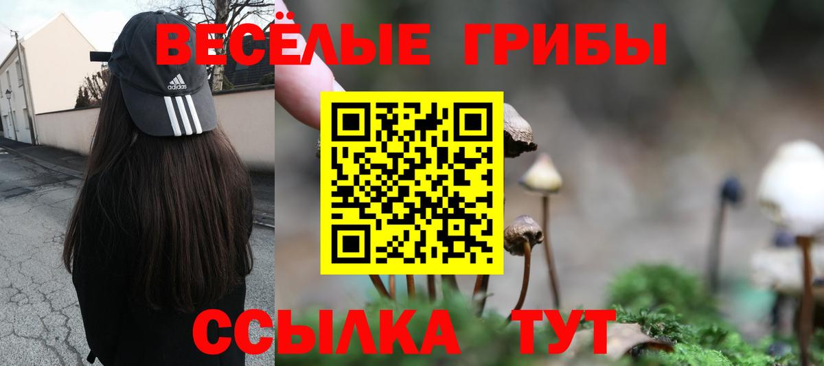 закладки  Вход с VPN  Галлюциногенные грибы мицелий  Надым  Галлюциногенные грибы мухоморы 